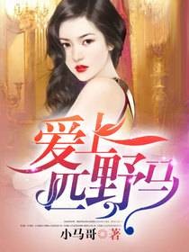 爱上一匹野马（暗夜文学网小说）