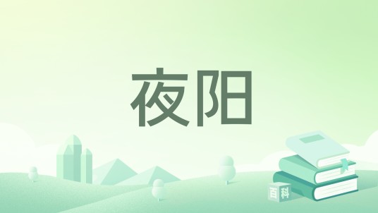 夜阳（周自珩创作网络小说）