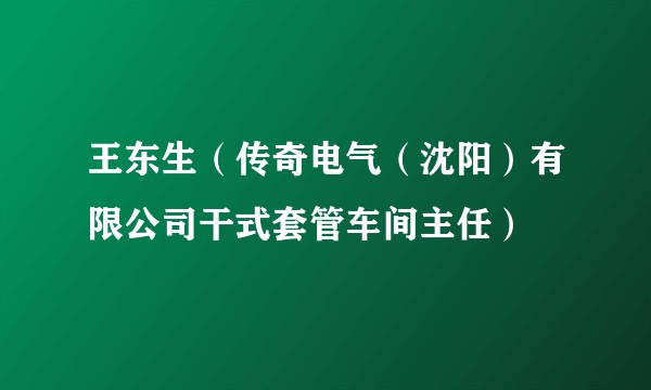 王东生（传奇电气（沈阳）有限公司干式套管车间主任）