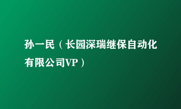 孙一民（长园深瑞继保自动化有限公司VP）