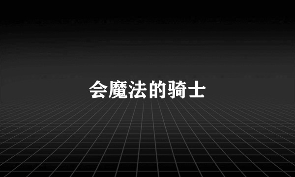 会魔法的骑士
