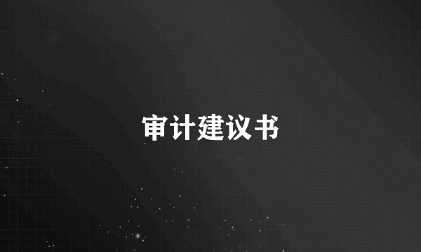 审计建议书