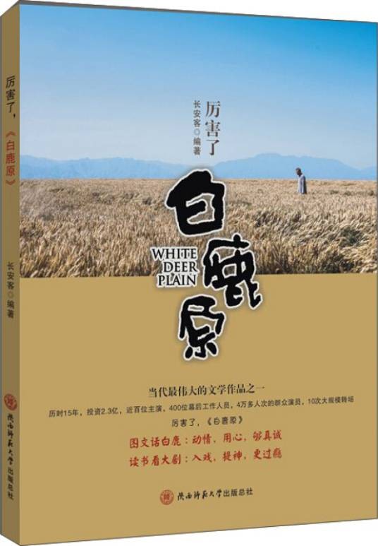 厉害了，《白鹿原》