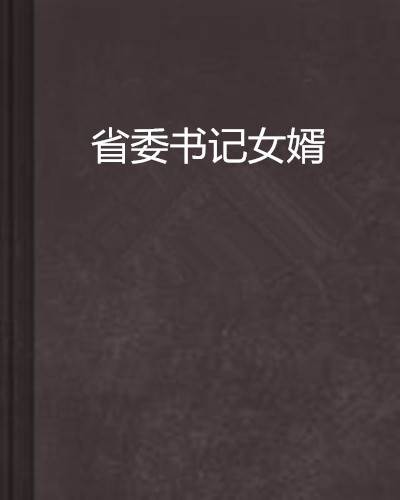 省委书记女婿