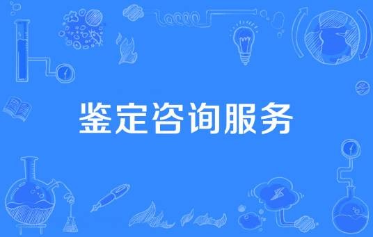鉴定咨询服务