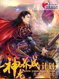 神龙养成计划