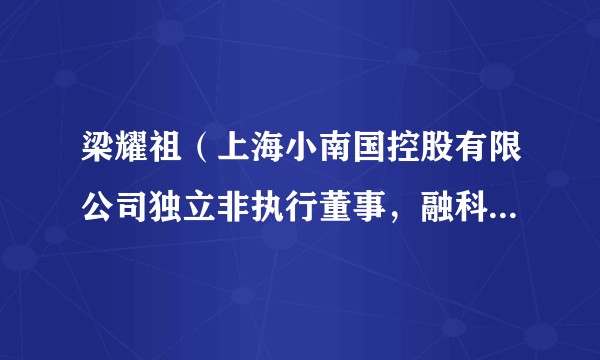 梁耀祖（上海小南国控股有限公司独立非执行董事，融科控股集团有限公司首席财务官、公司秘书，卓航控股执行董事）