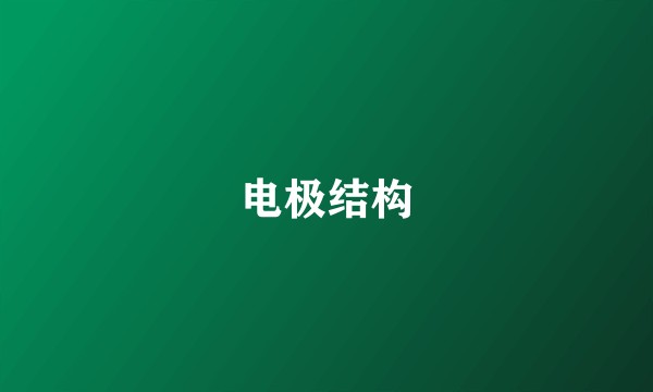 电极结构