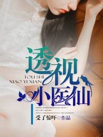 透视小医仙（受了惊吓创作的小说）