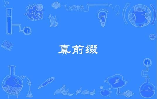 真前缀