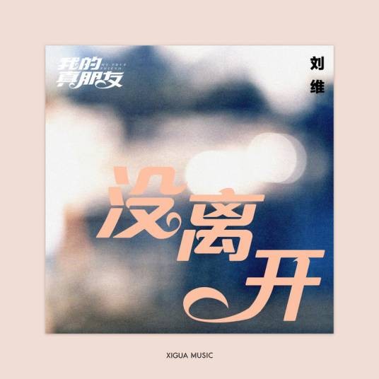没离开（刘维演唱的电视剧《我的真朋友》插曲）
