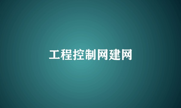 工程控制网建网