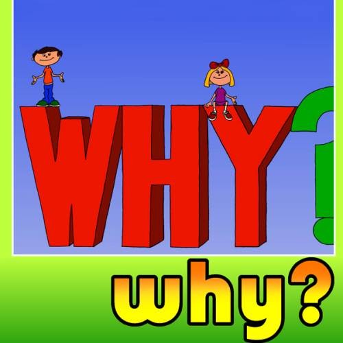 WHY为什么