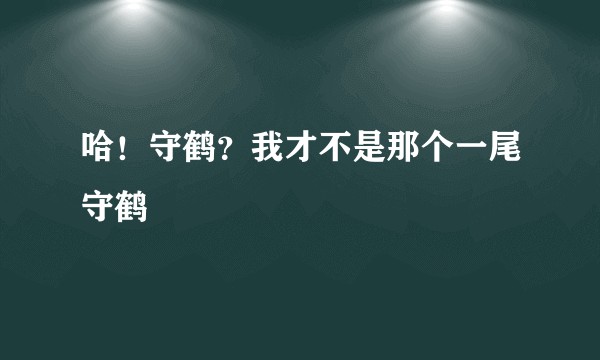 哈！守鹤？我才不是那个一尾守鹤