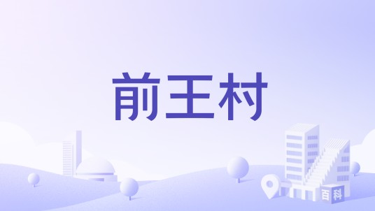 前王村(江苏省徐州市大黄山街道前王村)