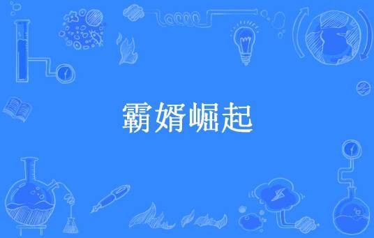 霸婿崛起(三生所著小说)