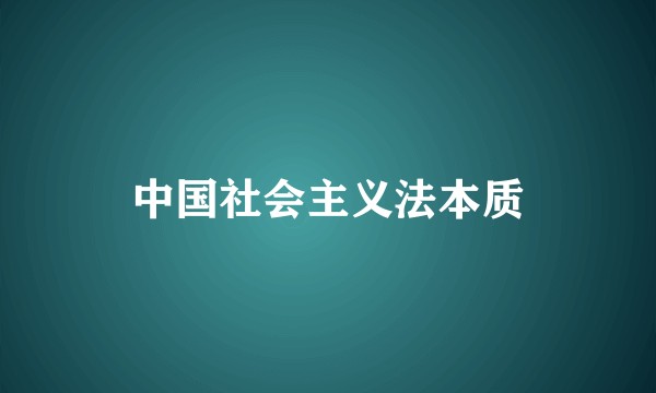 中国社会主义法本质