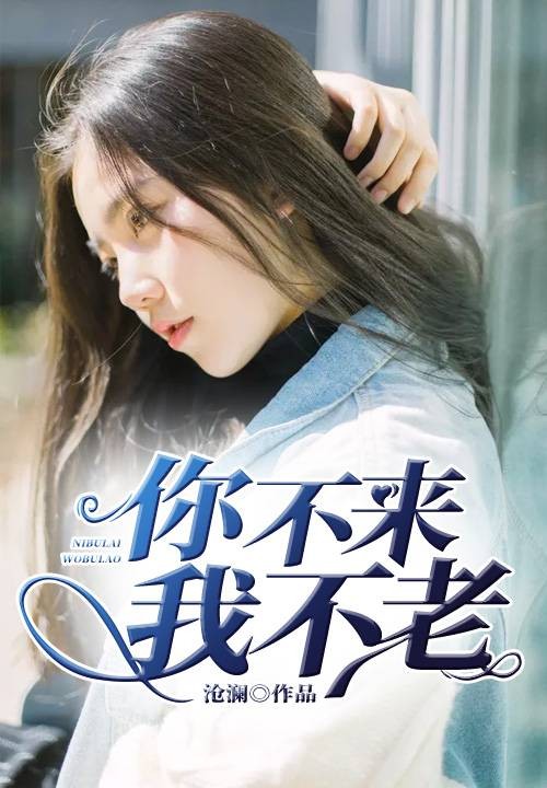 你不来，我不老（沧澜所著小说）