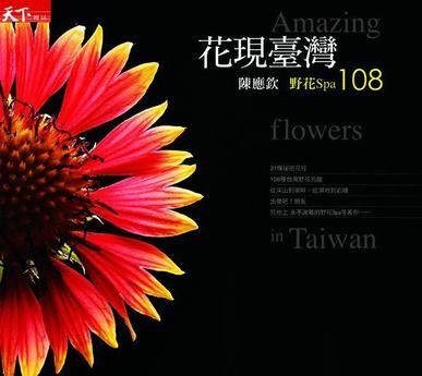 花现台湾