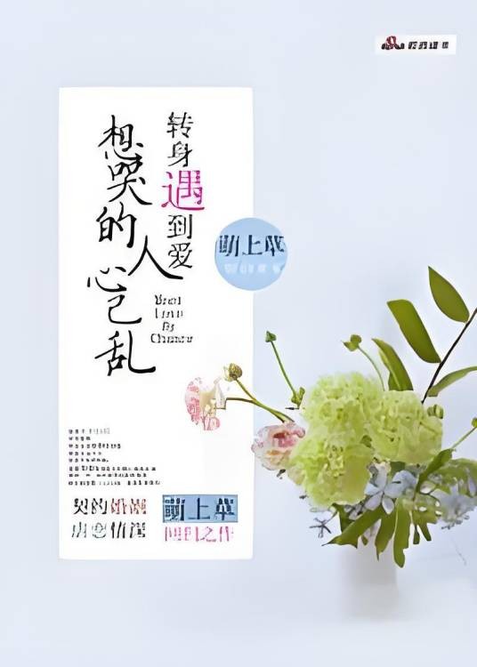 转身遇到爱：想哭的人心已乱