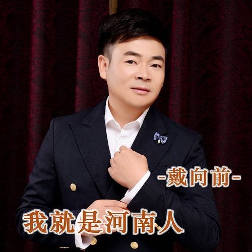 我是河南人（戴向前演唱歌曲）