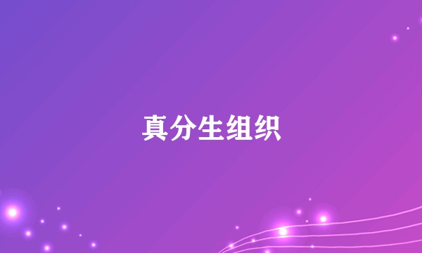 真分生组织