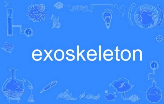 exoskeleton