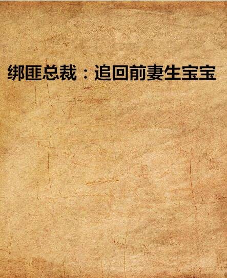 绑匪总裁：追回前妻生宝宝