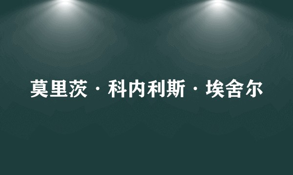 莫里茨·科内利斯·埃舍尔