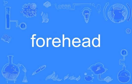 forehead