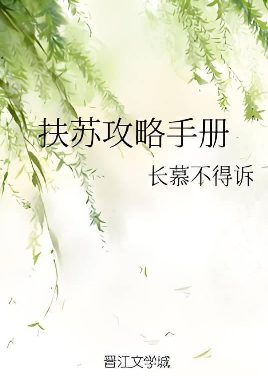 扶苏攻略手册