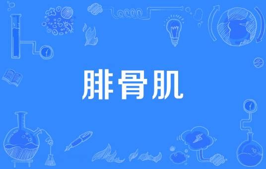 腓骨肌