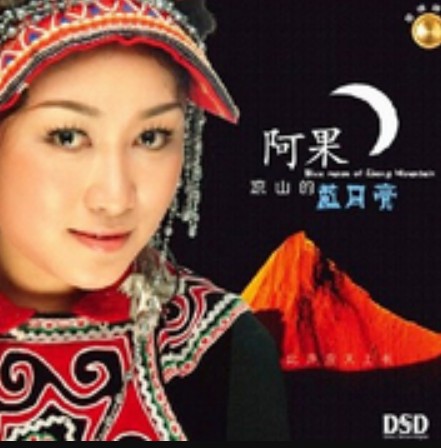 赶圩归来啊哩哩（阿果演唱的彝族风格歌曲）