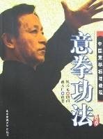 中国意拳标准教程-意拳功法