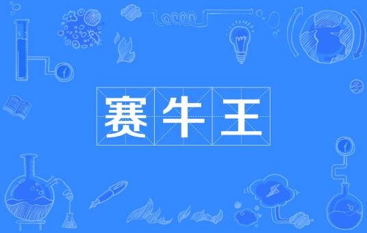 赛牛王