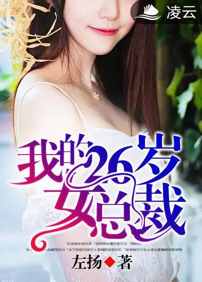 我的26岁女总裁（左扬创作的网络小说）