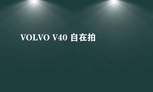 VOLVO V40 自在拍