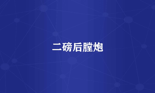 二磅后膛炮