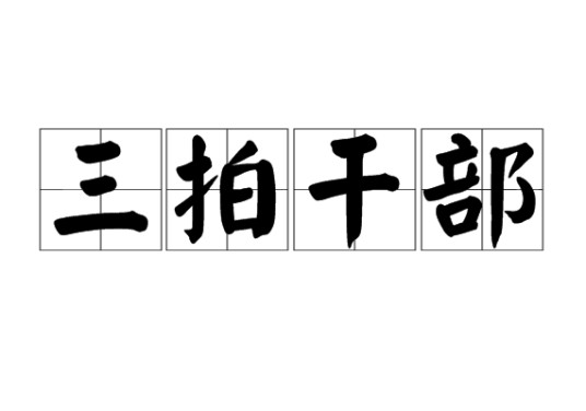 三拍干部