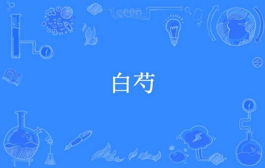 白芍（海青拿天鹅创作的小说）