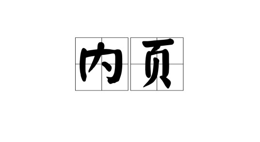内页