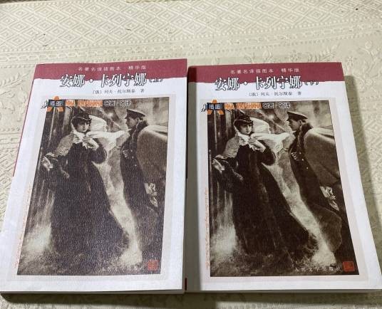 安娜。卡列宁娜（1956年人民文学出版社出版的图书）