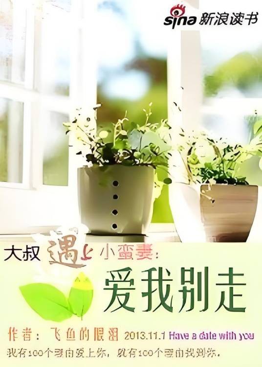 大叔遇上小蛮妻