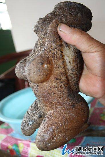 封（古籍中的传说生物）