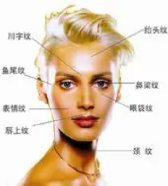 整形网