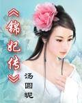 清宫锦妃传