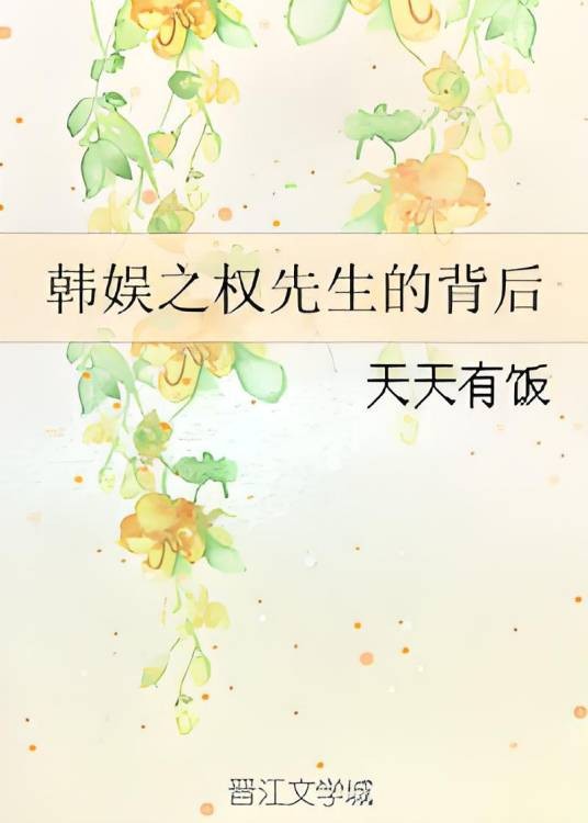 韩娱之权先生的背后
