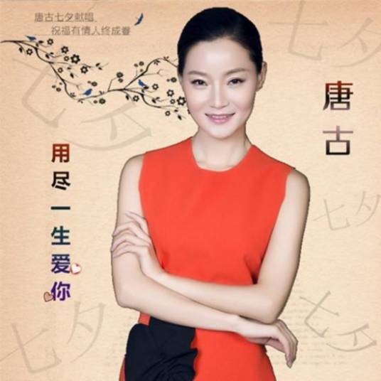 用尽一生爱你（唐古演唱的歌曲）