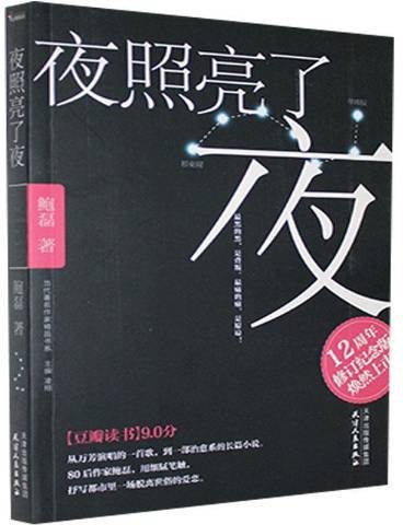 夜照亮了夜（2020年天津人民出版社出版的图书）