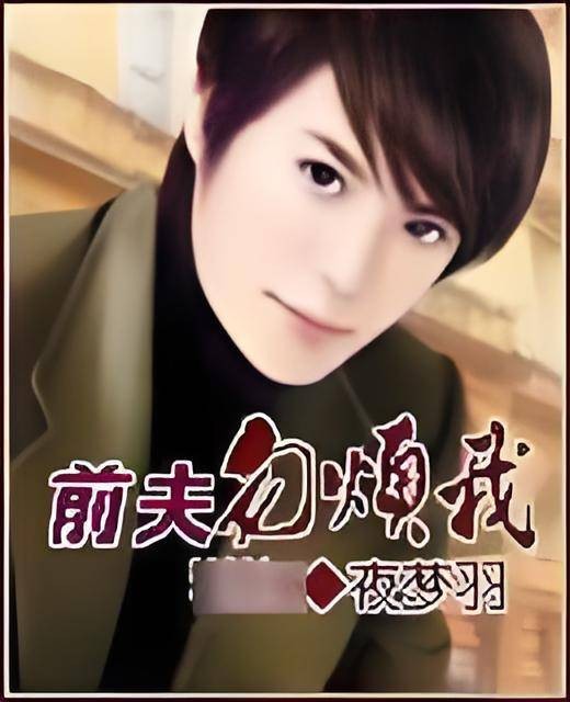 前夫勿烦我